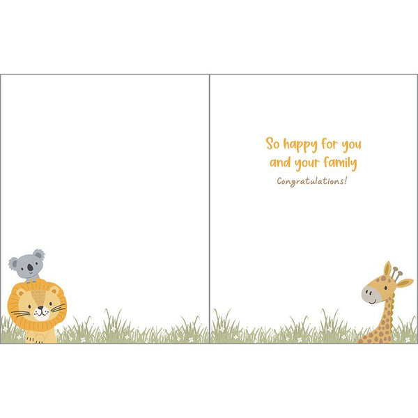 Baby card - Animal Hammock, Gina B Designs