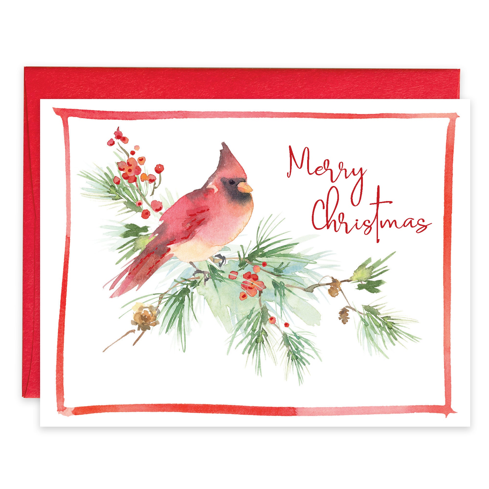 Christmas card - Cardinal on Pine