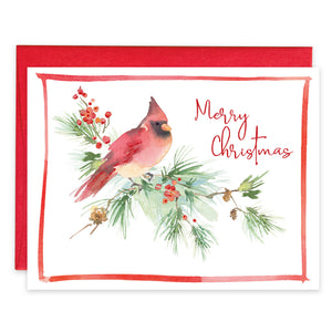 Christmas card - Cardinal on Pine