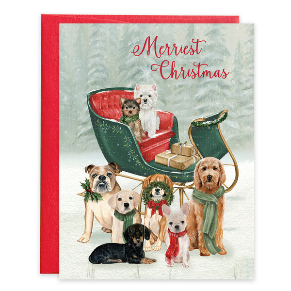 Christmas card - Sleigh Dogs