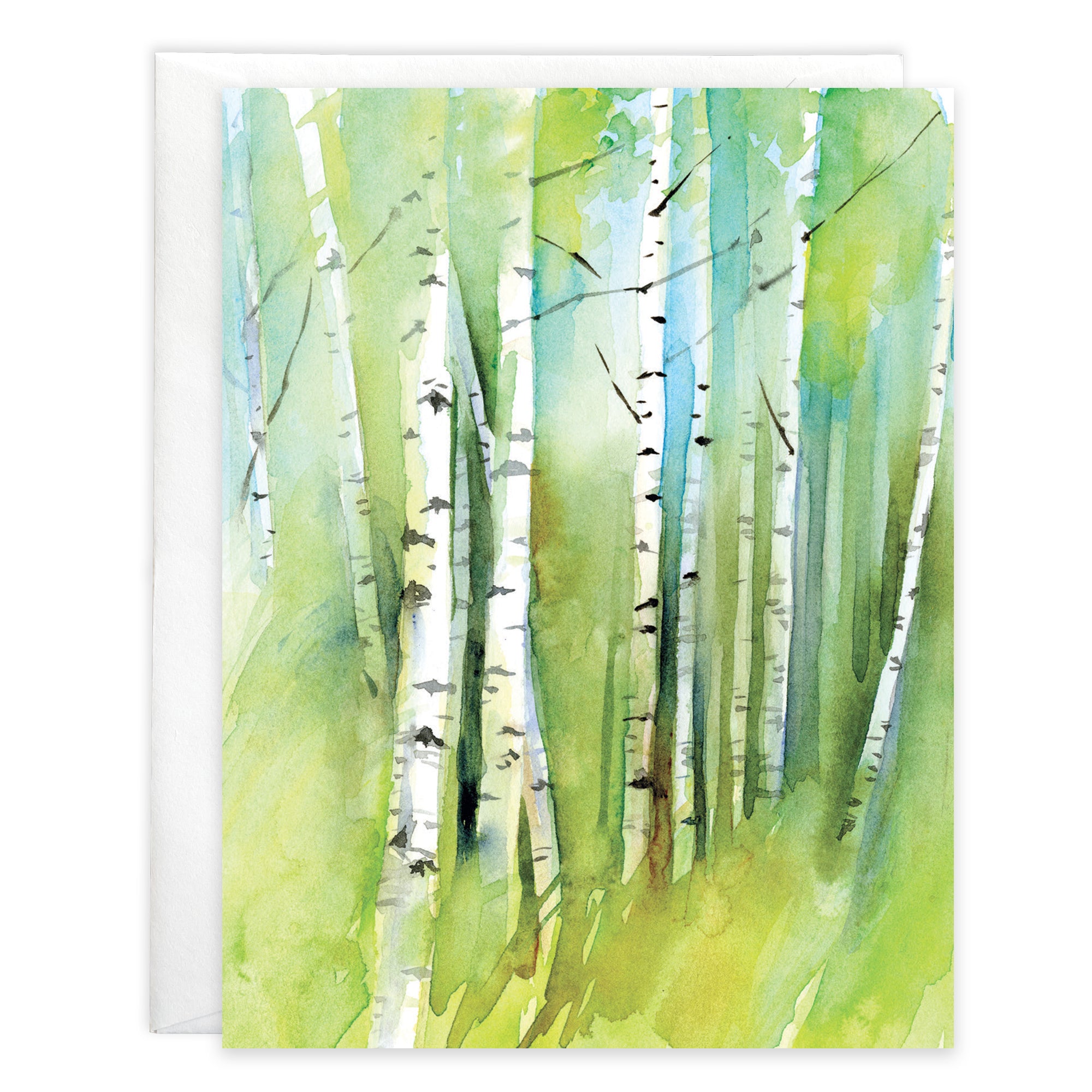 Blank Note Card  - Birch Grove