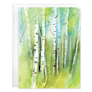 Blank Note Card  - Birch Grove
